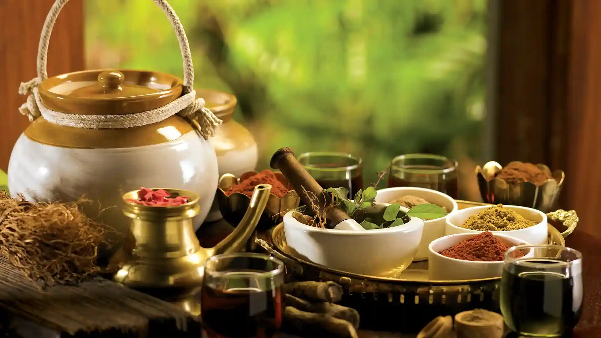 Ayurveda & Wellness in Gokulam for Yogis
